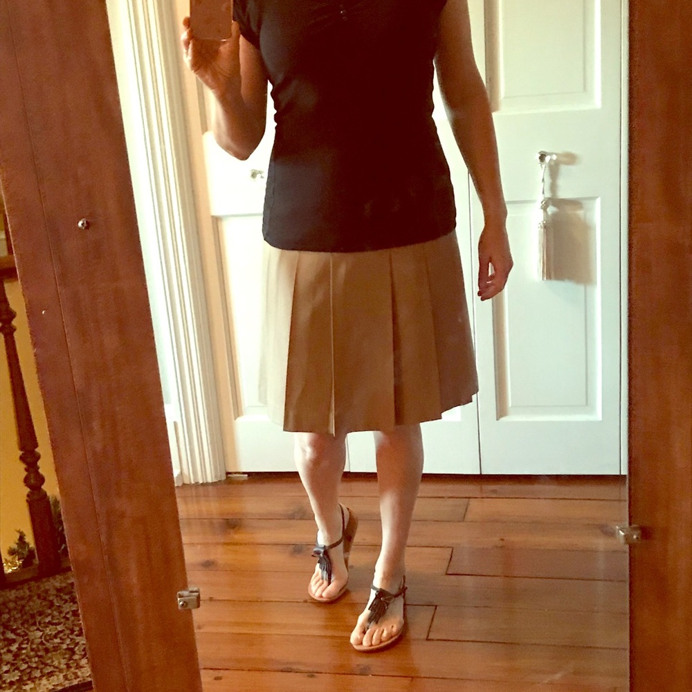 Pleated Wool Skirt